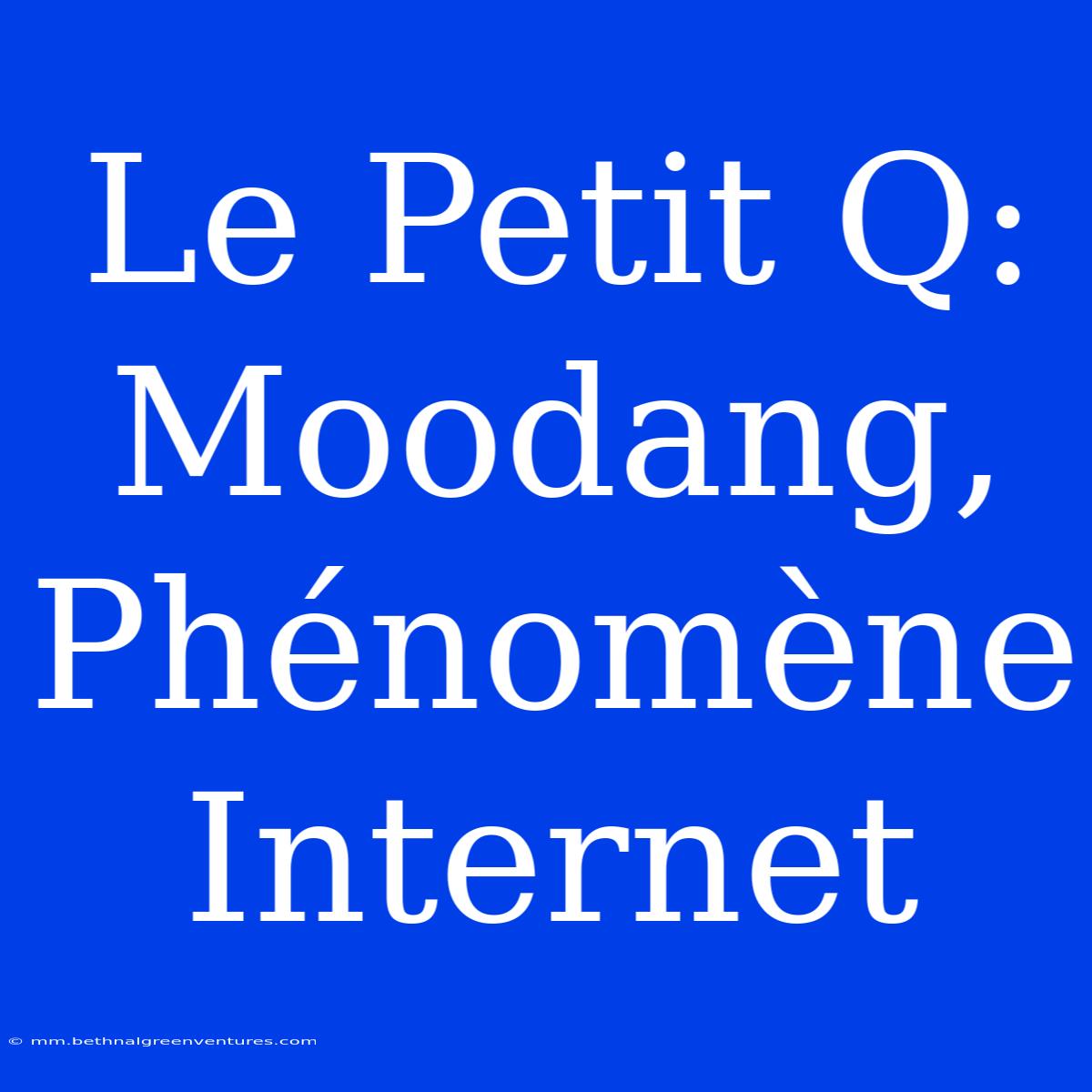 Le Petit Q: Moodang, Phénomène Internet