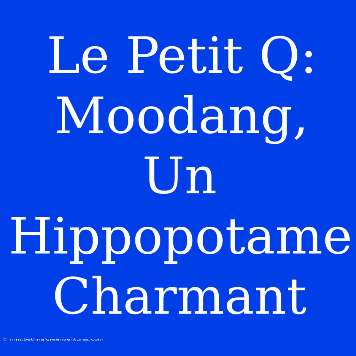 Le Petit Q: Moodang, Un Hippopotame Charmant