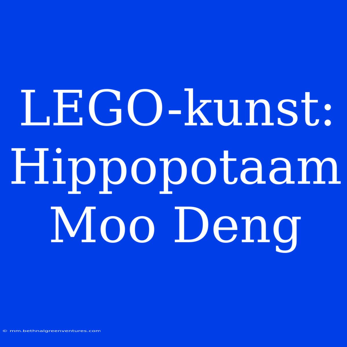 LEGO-kunst: Hippopotaam Moo Deng