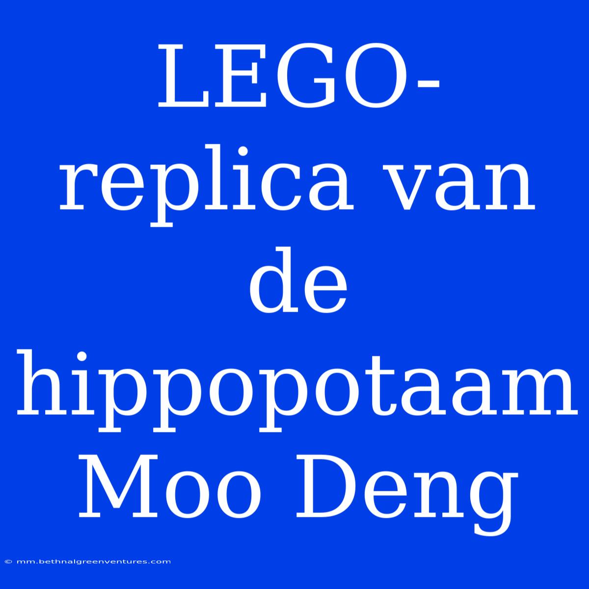 LEGO-replica Van De Hippopotaam Moo Deng