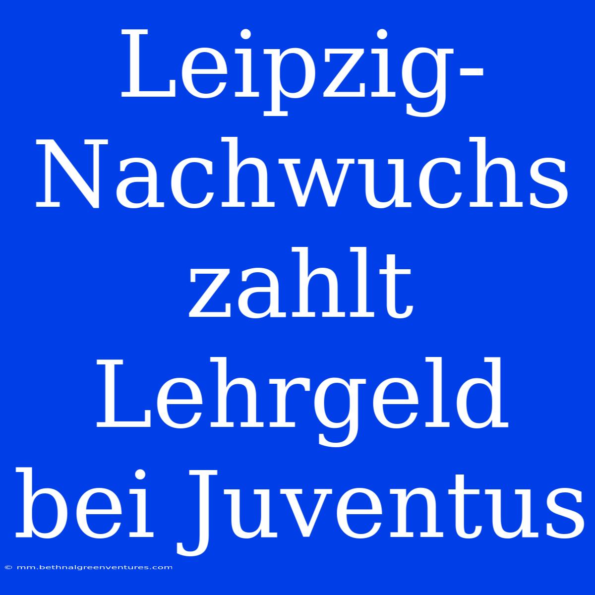 Leipzig-Nachwuchs Zahlt Lehrgeld Bei Juventus