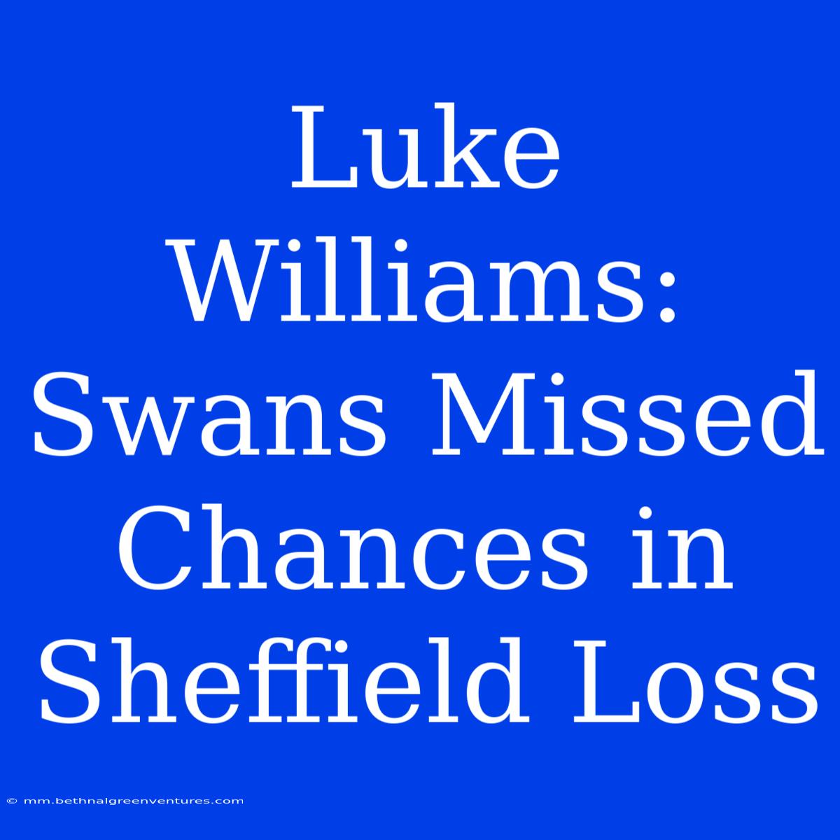 Luke Williams: Swans Missed Chances In Sheffield Loss