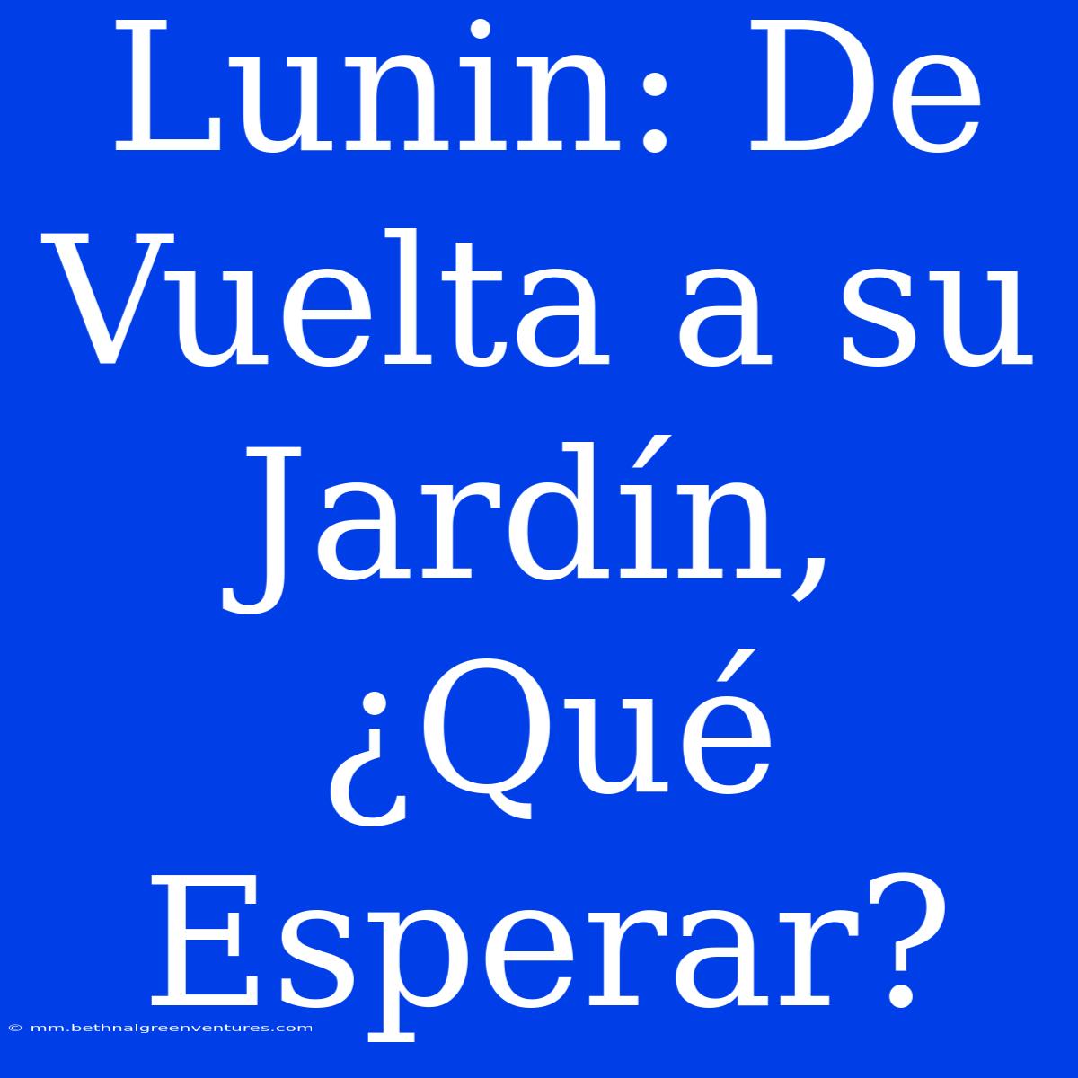 Lunin: De Vuelta A Su Jardín, ¿Qué Esperar?