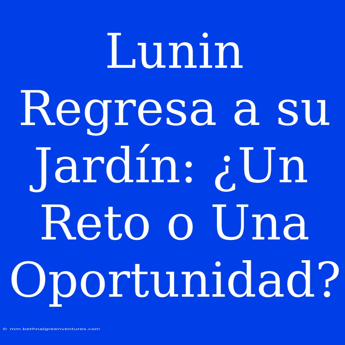 Lunin Regresa A Su Jardín: ¿Un Reto O Una Oportunidad?