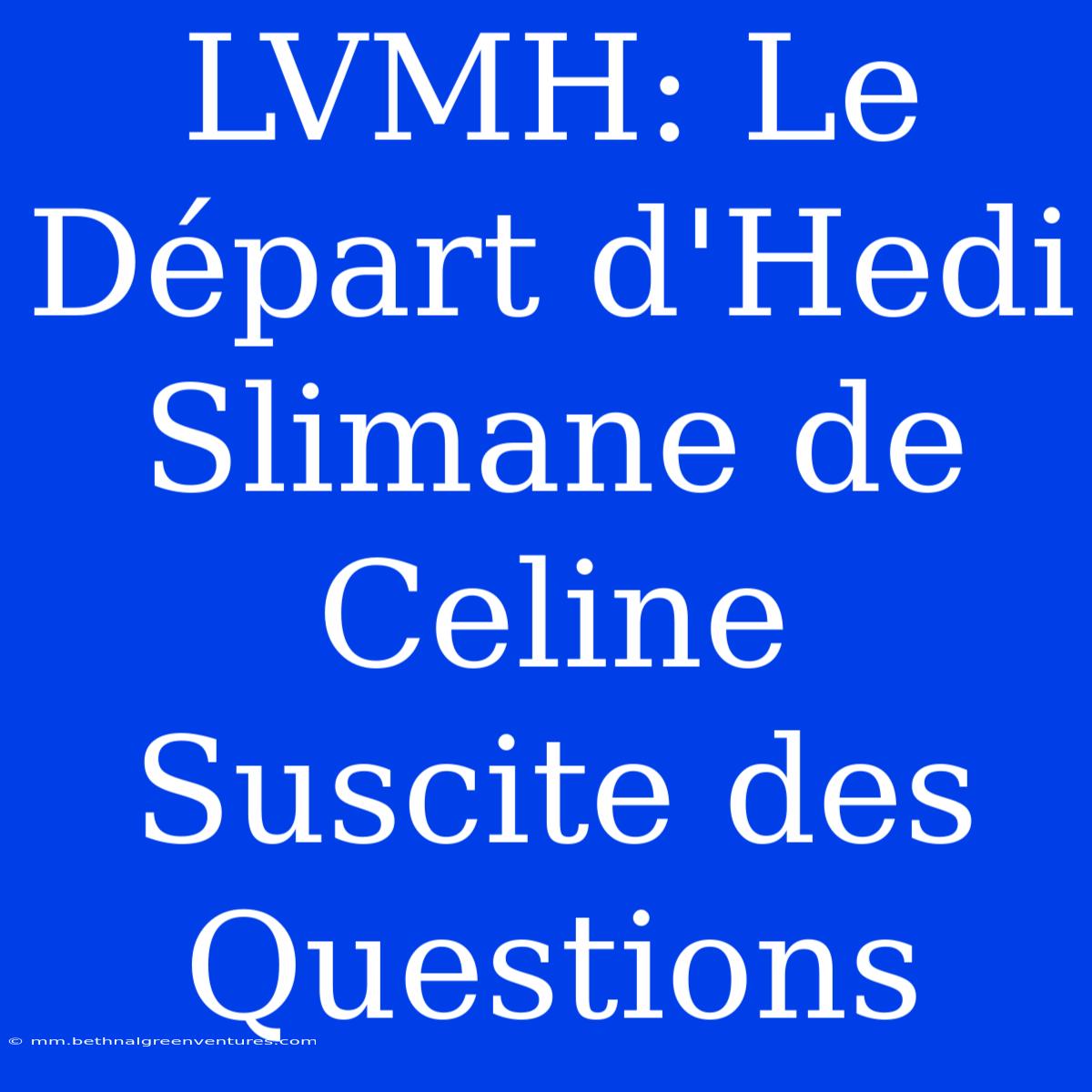 LVMH: Le Départ D'Hedi Slimane De Celine Suscite Des Questions