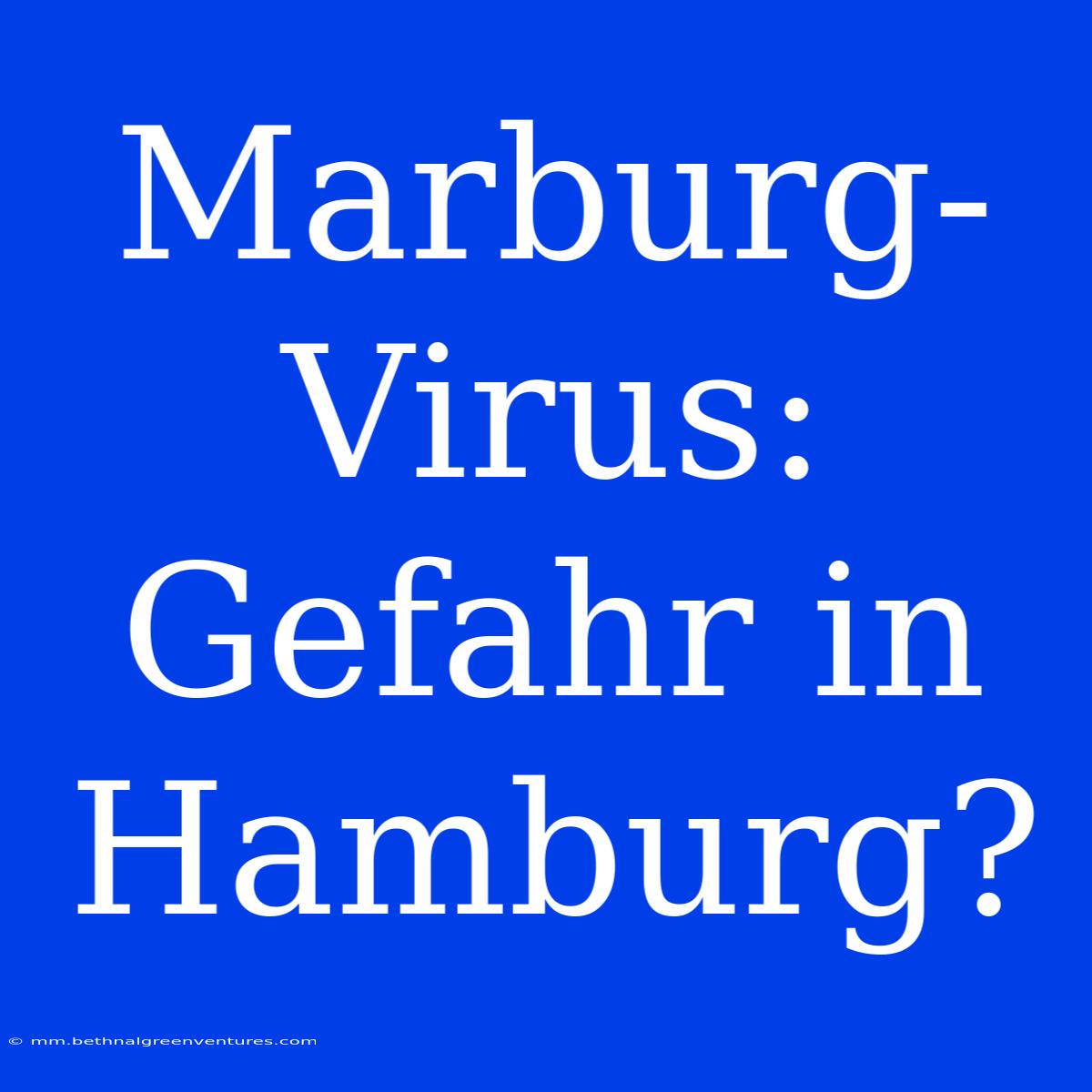 Marburg-Virus: Gefahr In Hamburg?