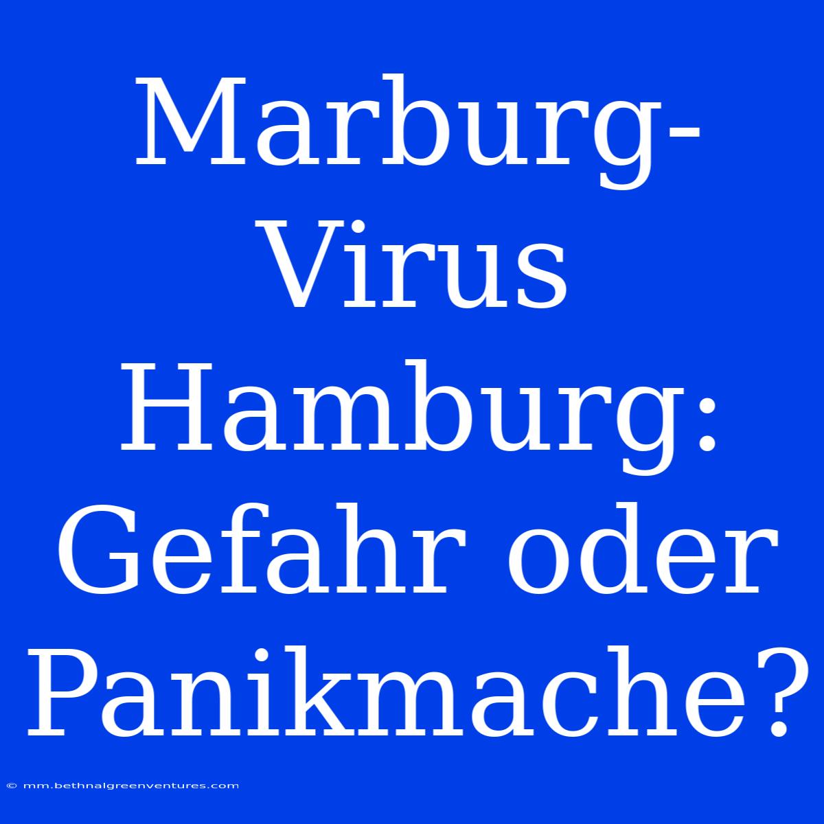 Marburg-Virus Hamburg: Gefahr Oder Panikmache?