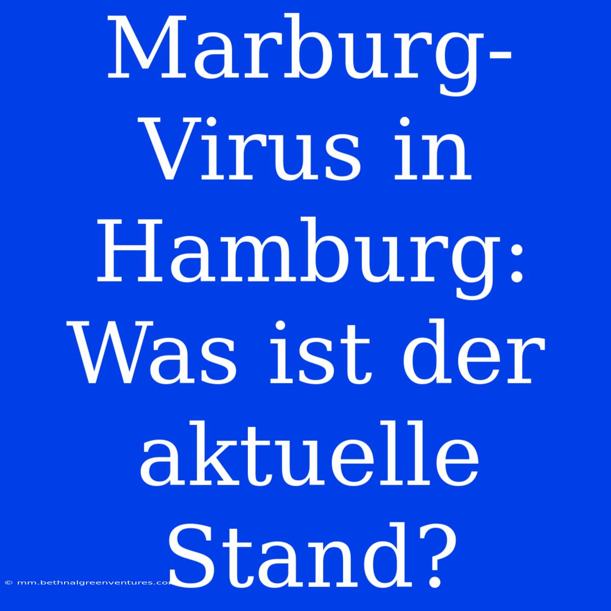 Marburg-Virus In Hamburg: Was Ist Der Aktuelle Stand?