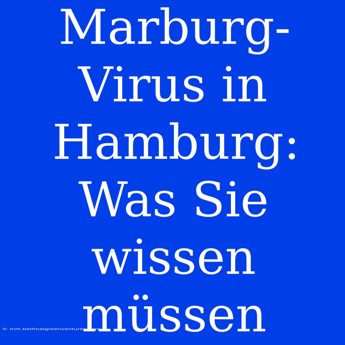 Marburg-Virus In Hamburg: Was Sie Wissen Müssen