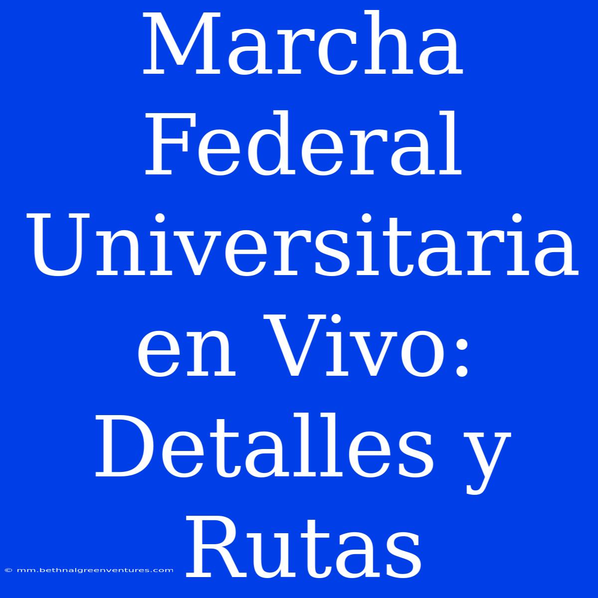 Marcha Federal Universitaria En Vivo: Detalles Y Rutas