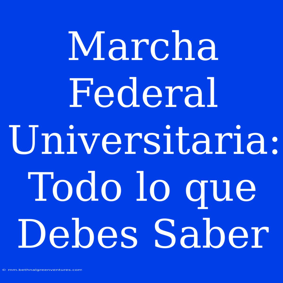 Marcha Federal Universitaria: Todo Lo Que Debes Saber