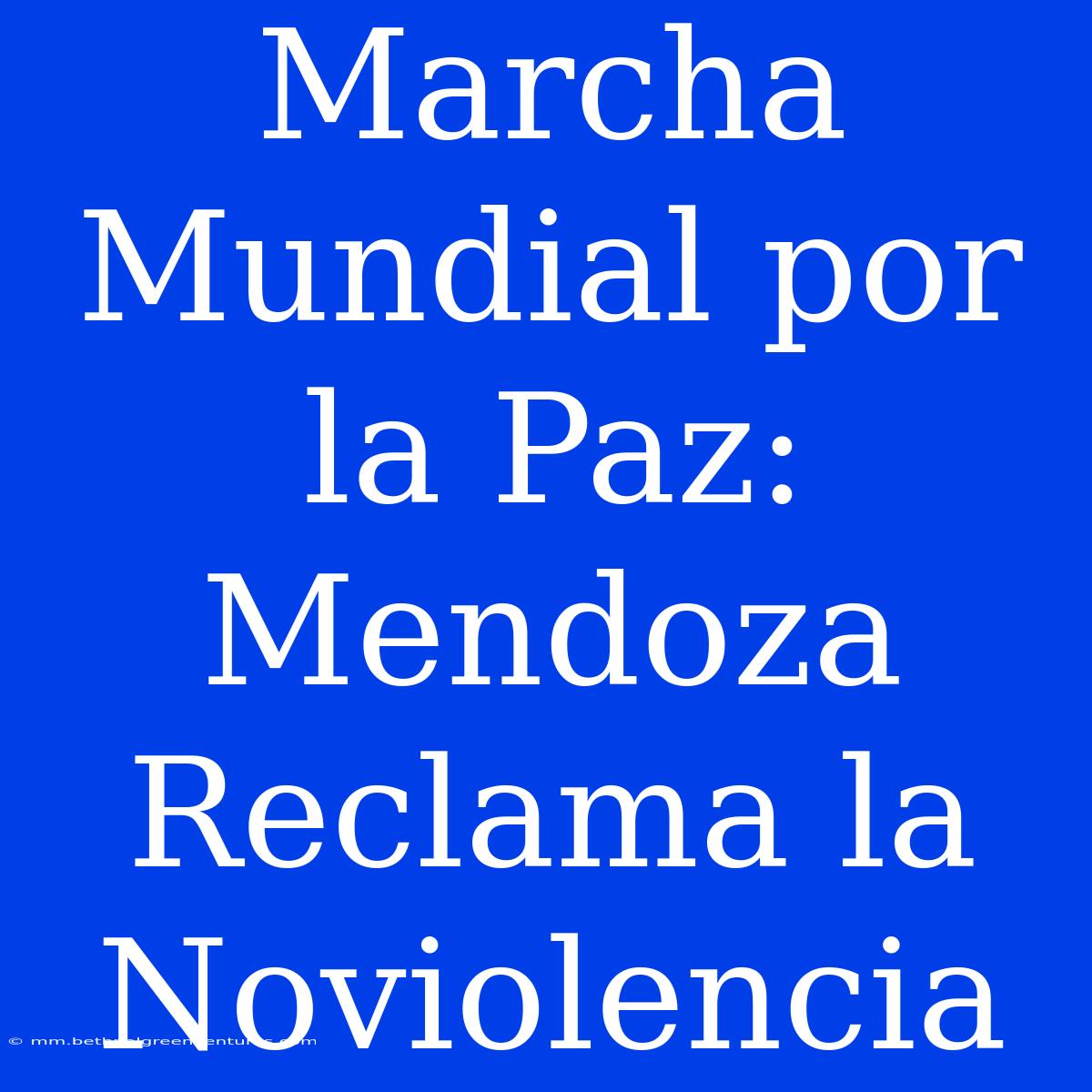 Marcha Mundial Por La Paz: Mendoza Reclama La Noviolencia