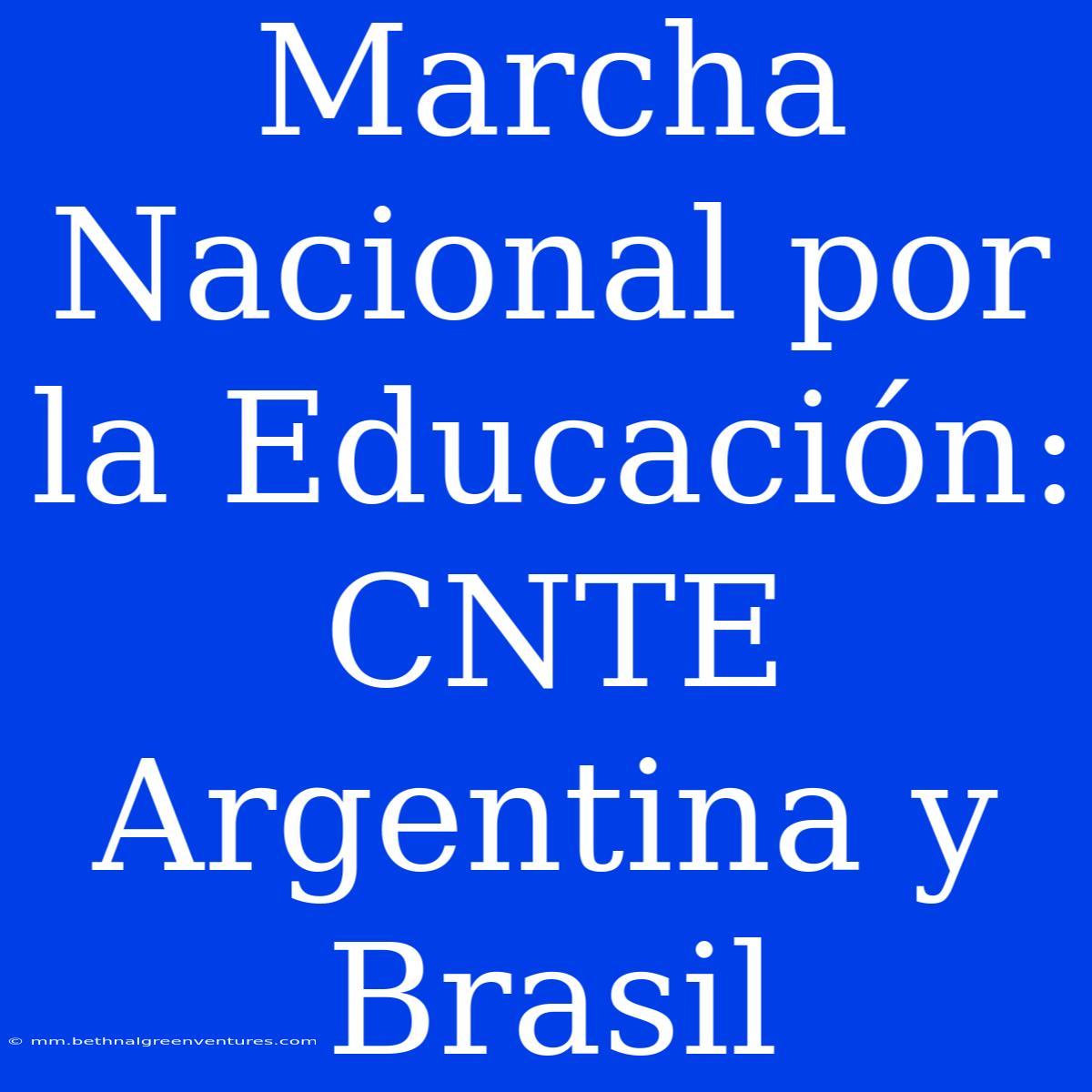 Marcha Nacional Por La Educación: CNTE Argentina Y Brasil