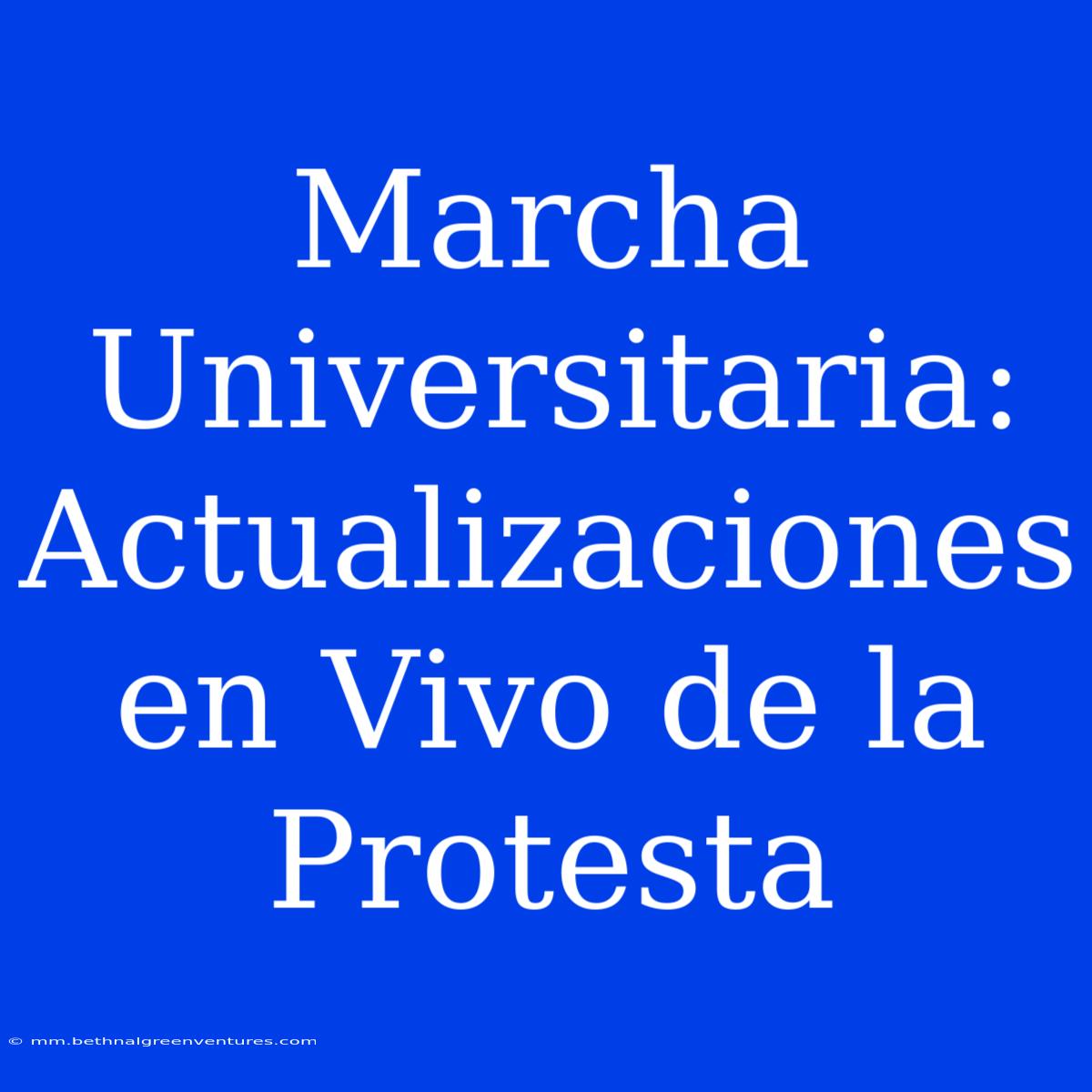 Marcha Universitaria: Actualizaciones En Vivo De La Protesta