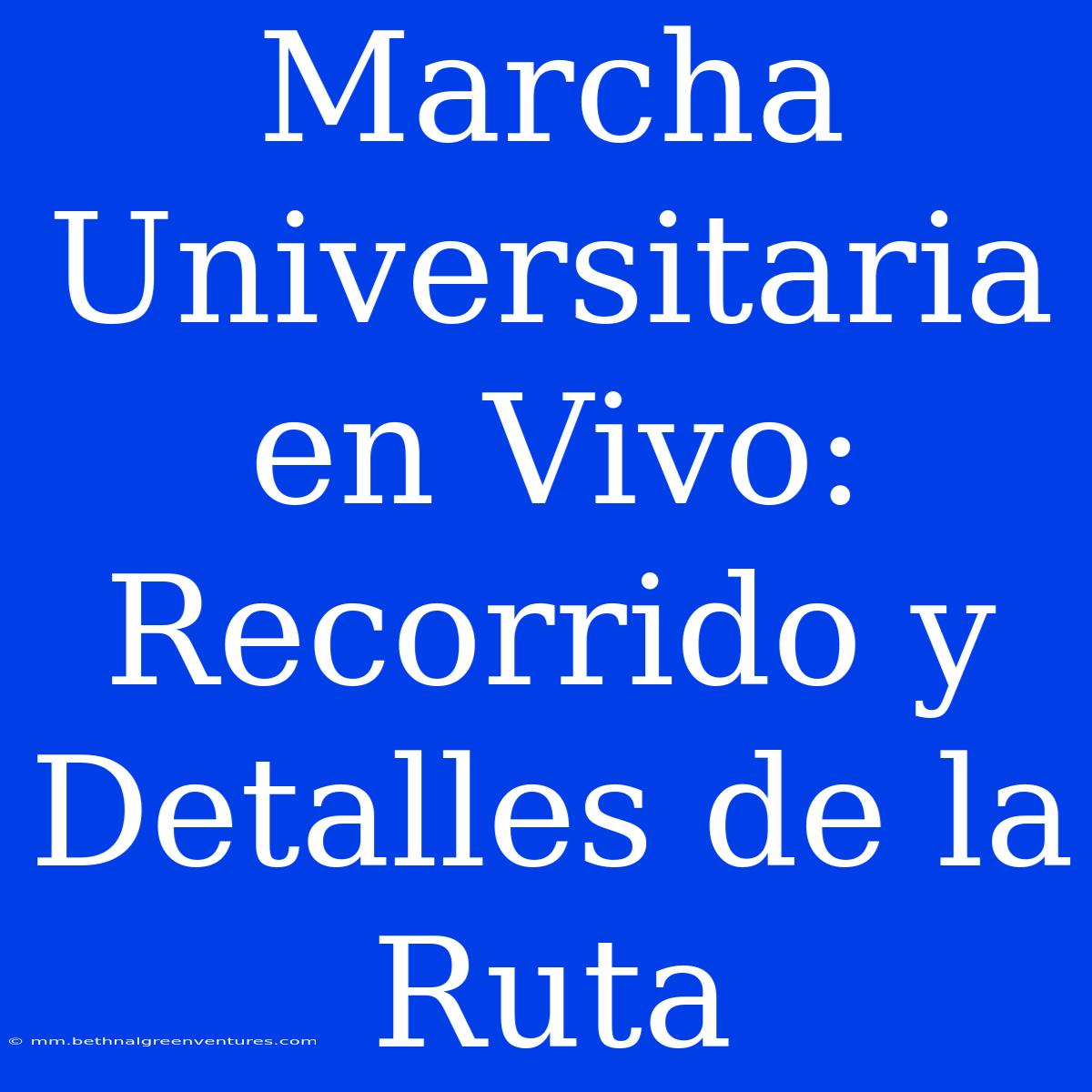 Marcha Universitaria En Vivo:  Recorrido Y Detalles De La Ruta