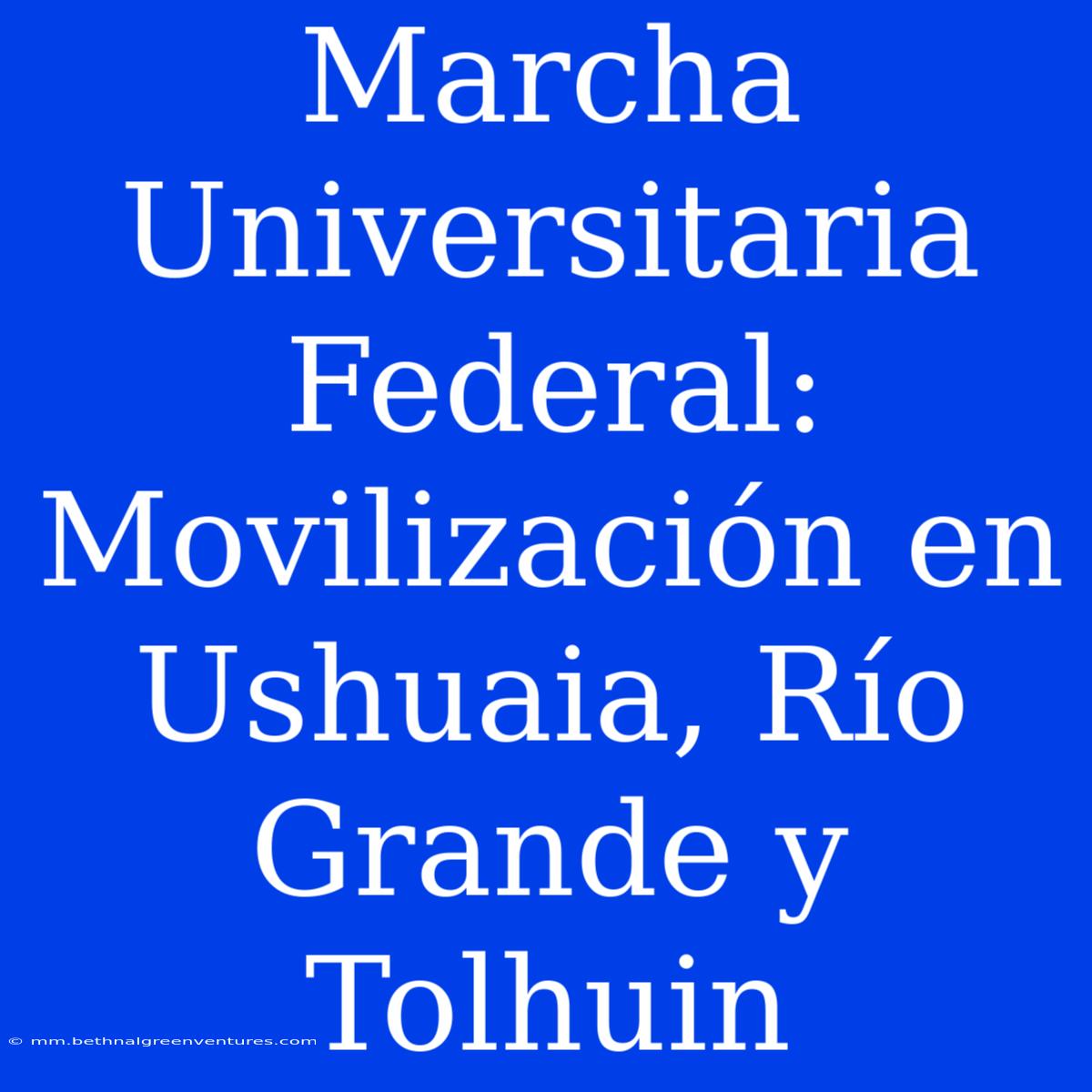 Marcha Universitaria Federal: Movilización En Ushuaia, Río Grande Y Tolhuin