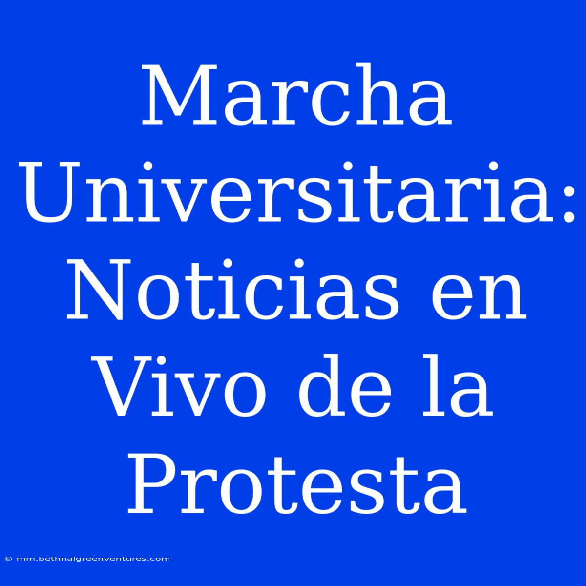 Marcha Universitaria: Noticias En Vivo De La Protesta