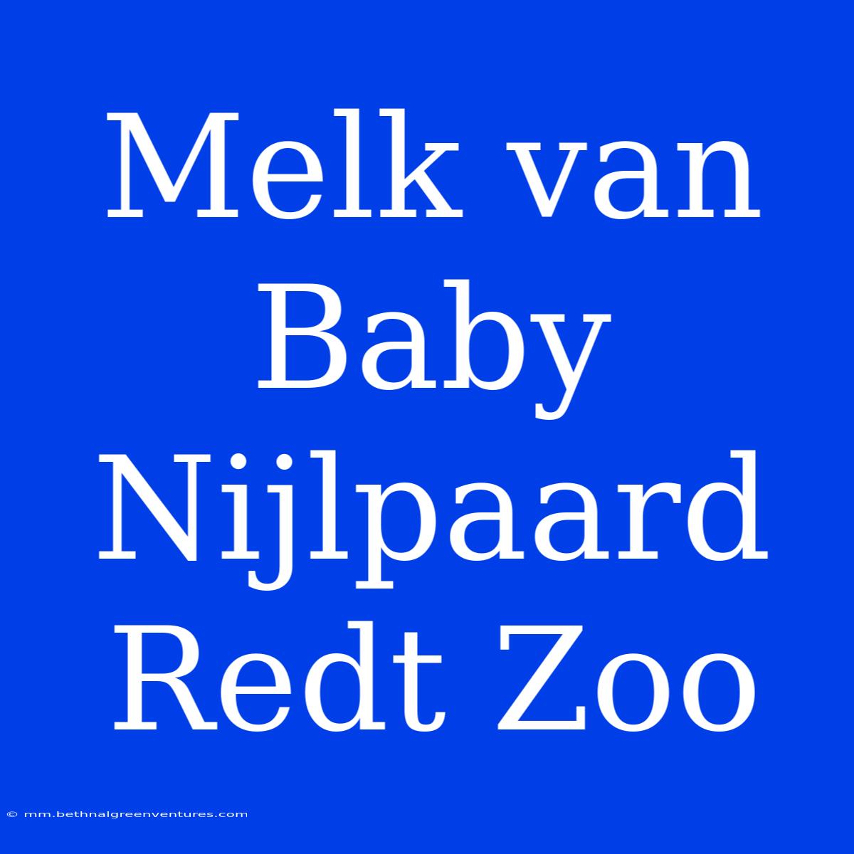 Melk Van Baby Nijlpaard Redt Zoo