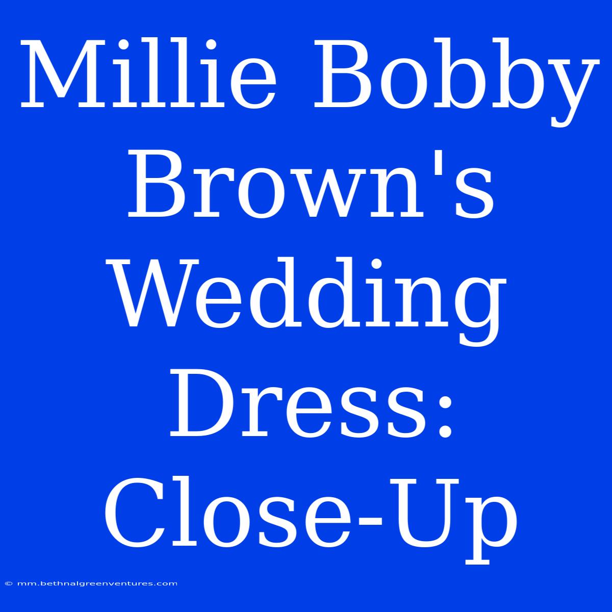 Millie Bobby Brown's Wedding Dress: Close-Up