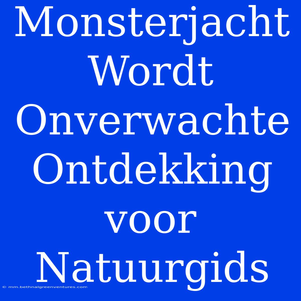 Monsterjacht Wordt Onverwachte Ontdekking Voor Natuurgids