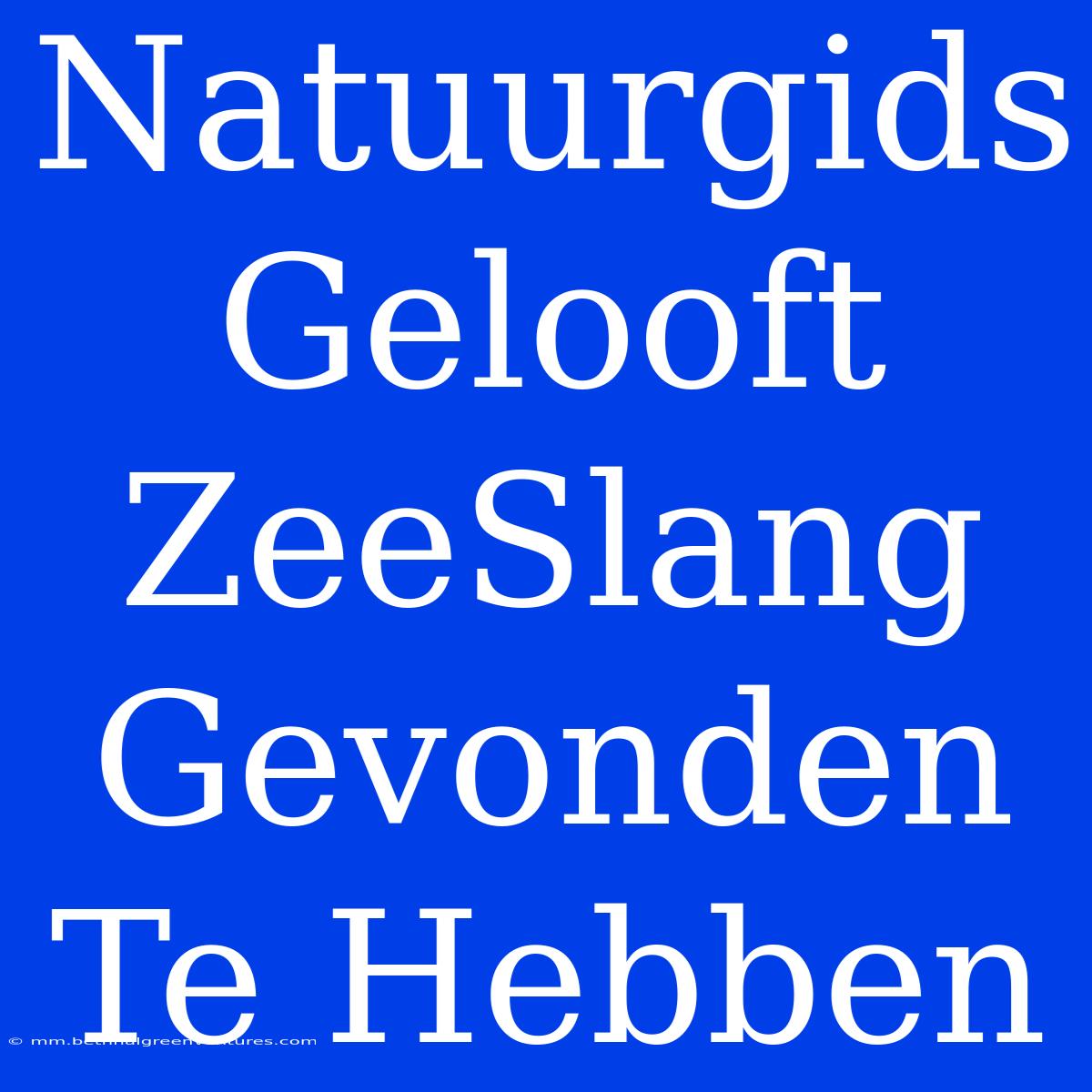 Natuurgids Gelooft ZeeSlang Gevonden Te Hebben