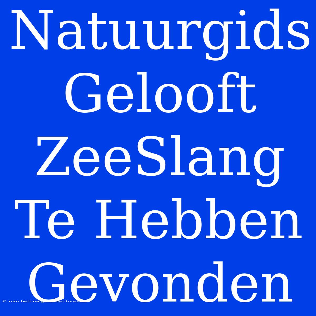 Natuurgids Gelooft ZeeSlang Te Hebben Gevonden