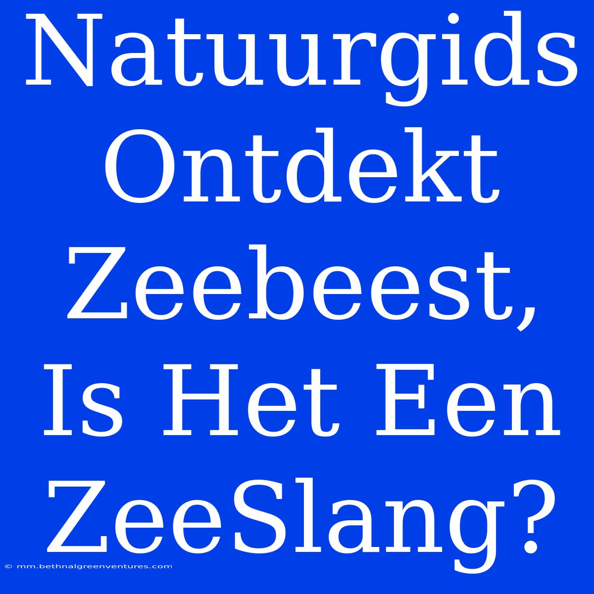 Natuurgids Ontdekt Zeebeest, Is Het Een ZeeSlang?