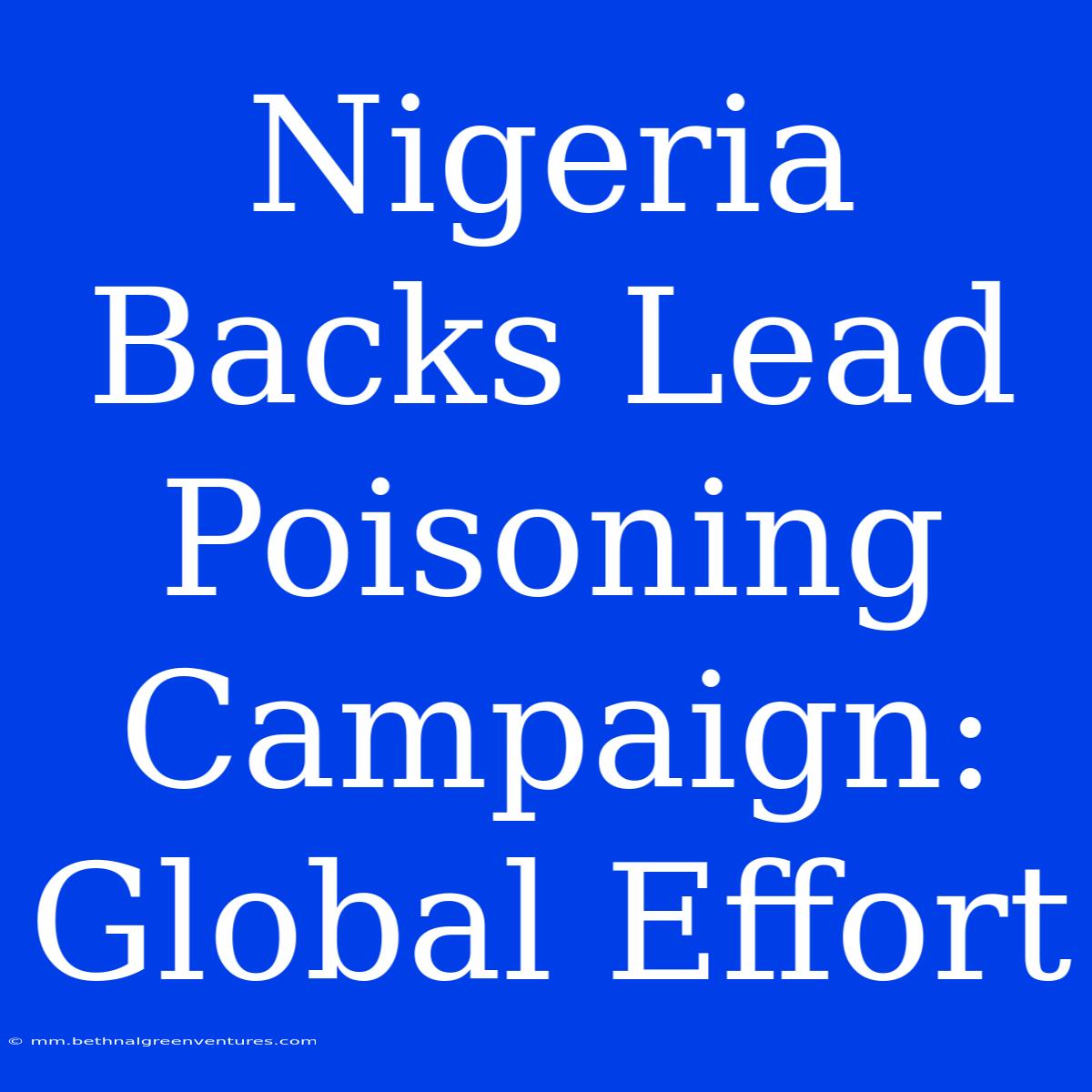 Nigeria Backs Lead Poisoning Campaign: Global Effort