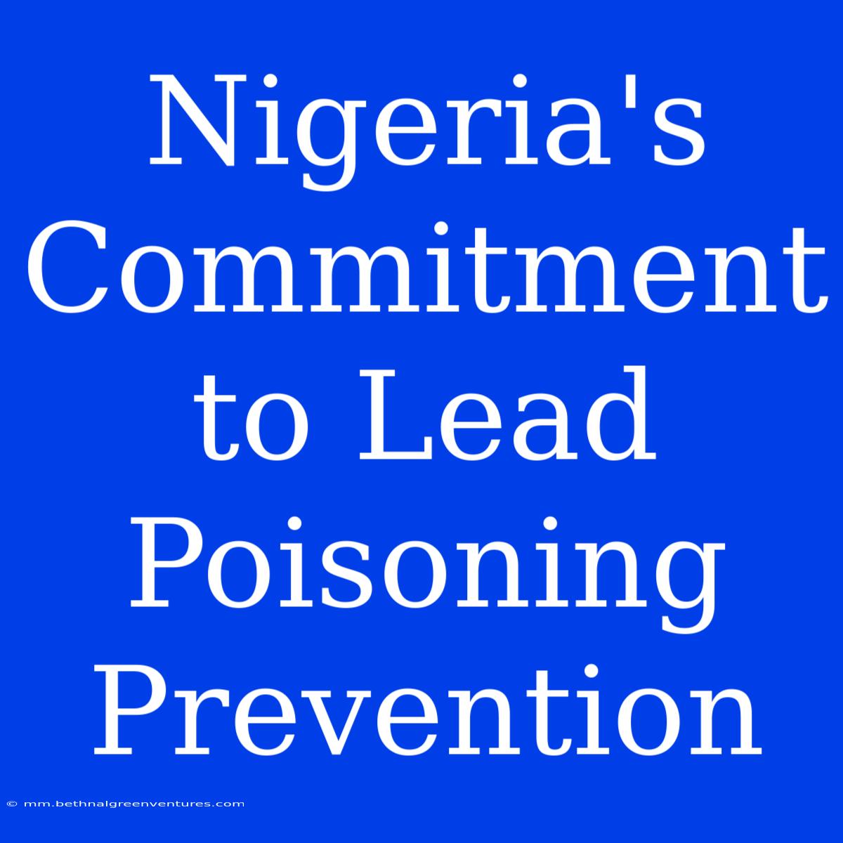 Nigeria's Commitment To Lead Poisoning Prevention