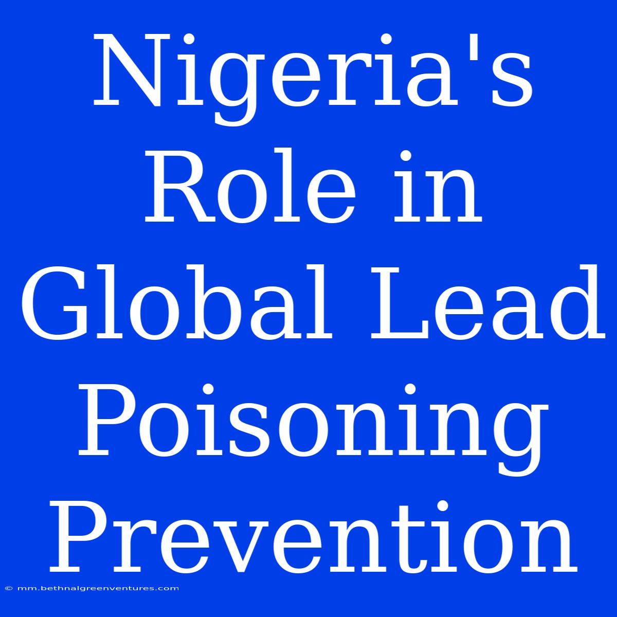 Nigeria's Role In Global Lead Poisoning Prevention