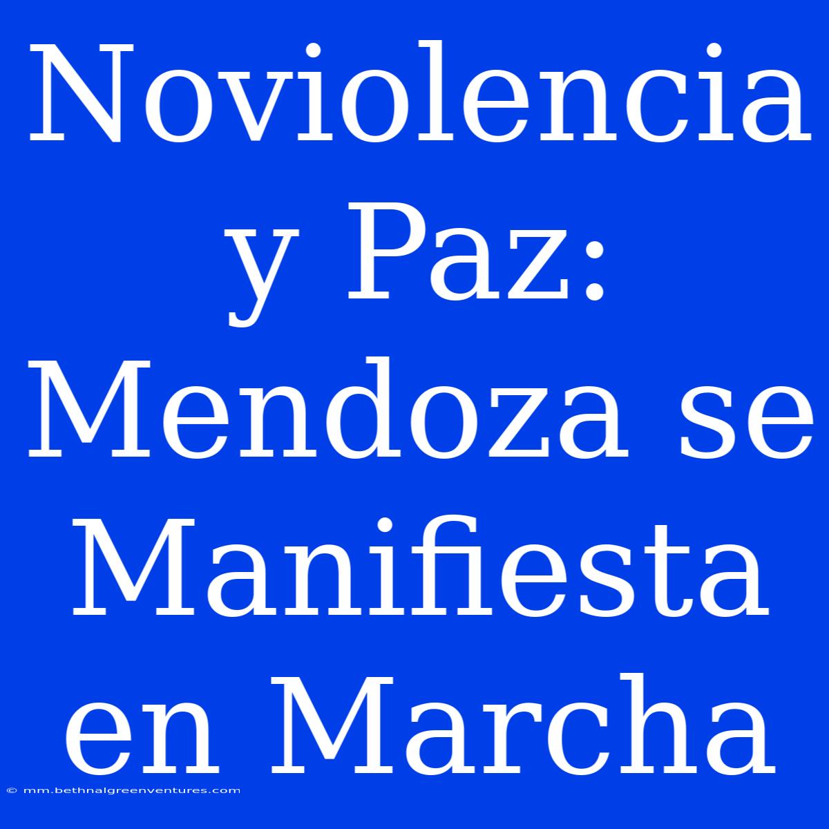 Noviolencia Y Paz: Mendoza Se Manifiesta En Marcha