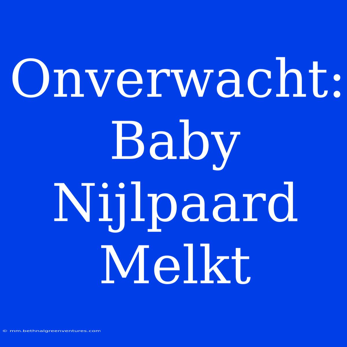 Onverwacht: Baby Nijlpaard Melkt