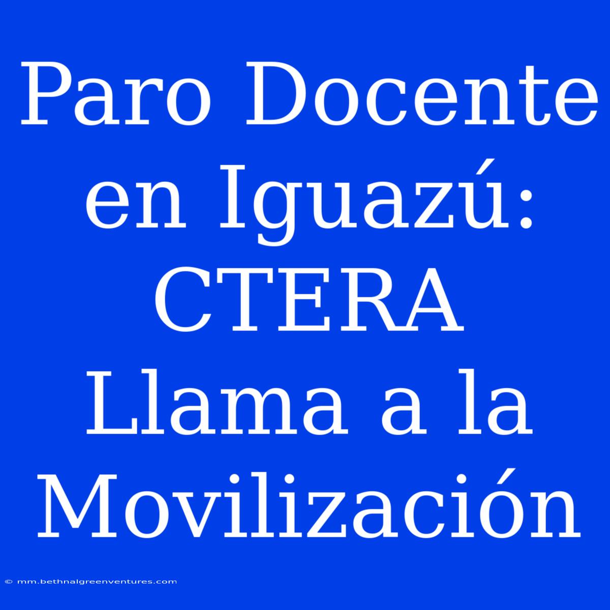 Paro Docente En Iguazú: CTERA Llama A La Movilización