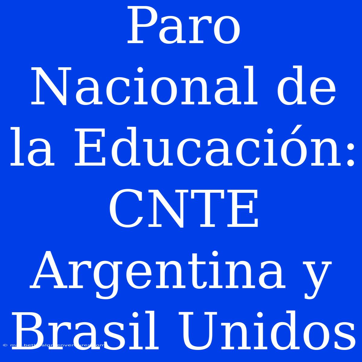 Paro Nacional De La Educación: CNTE Argentina Y Brasil Unidos