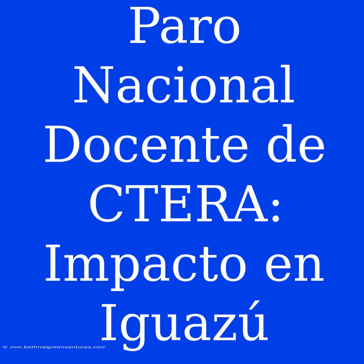 Paro Nacional Docente De CTERA: Impacto En Iguazú 