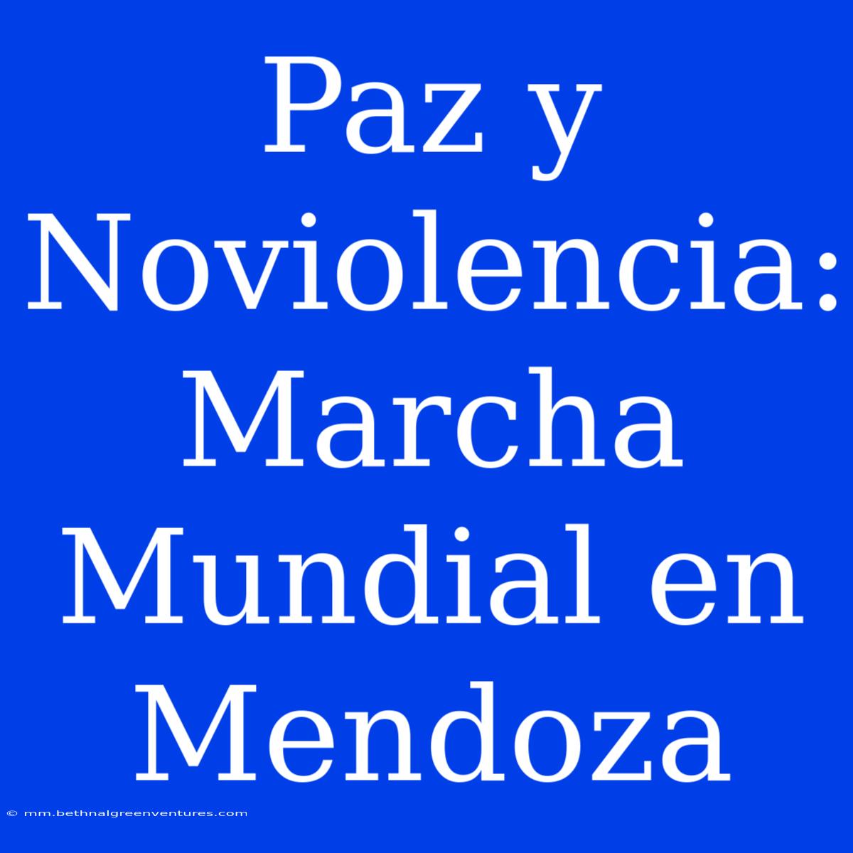 Paz Y Noviolencia: Marcha Mundial En Mendoza  