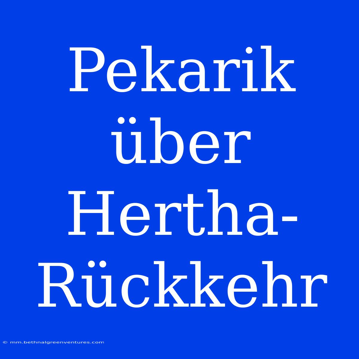 Pekarik Über Hertha-Rückkehr