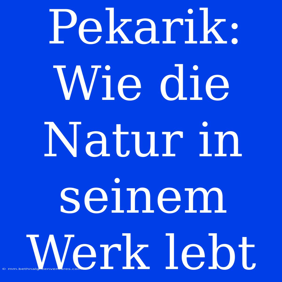 Pekarik: Wie Die Natur In Seinem Werk Lebt