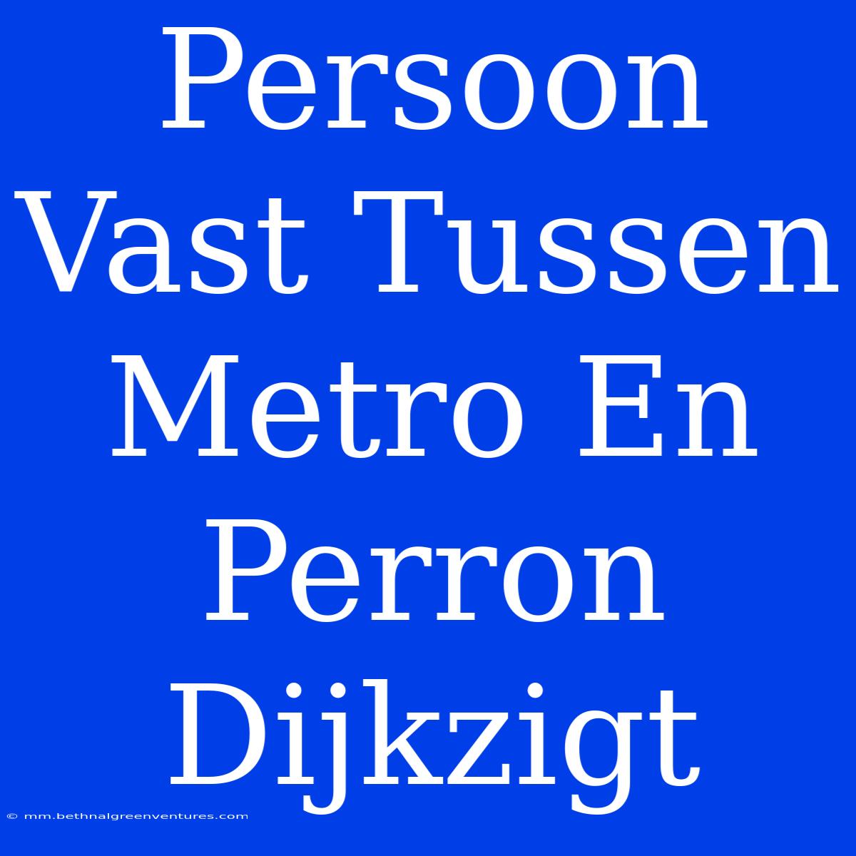 Persoon Vast Tussen Metro En Perron Dijkzigt