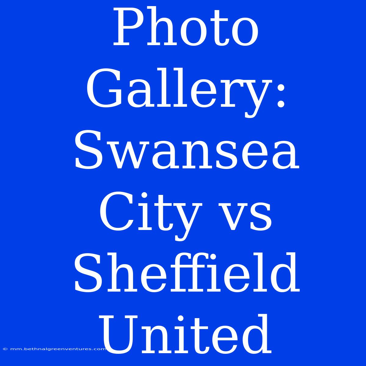 Photo Gallery: Swansea City Vs Sheffield United