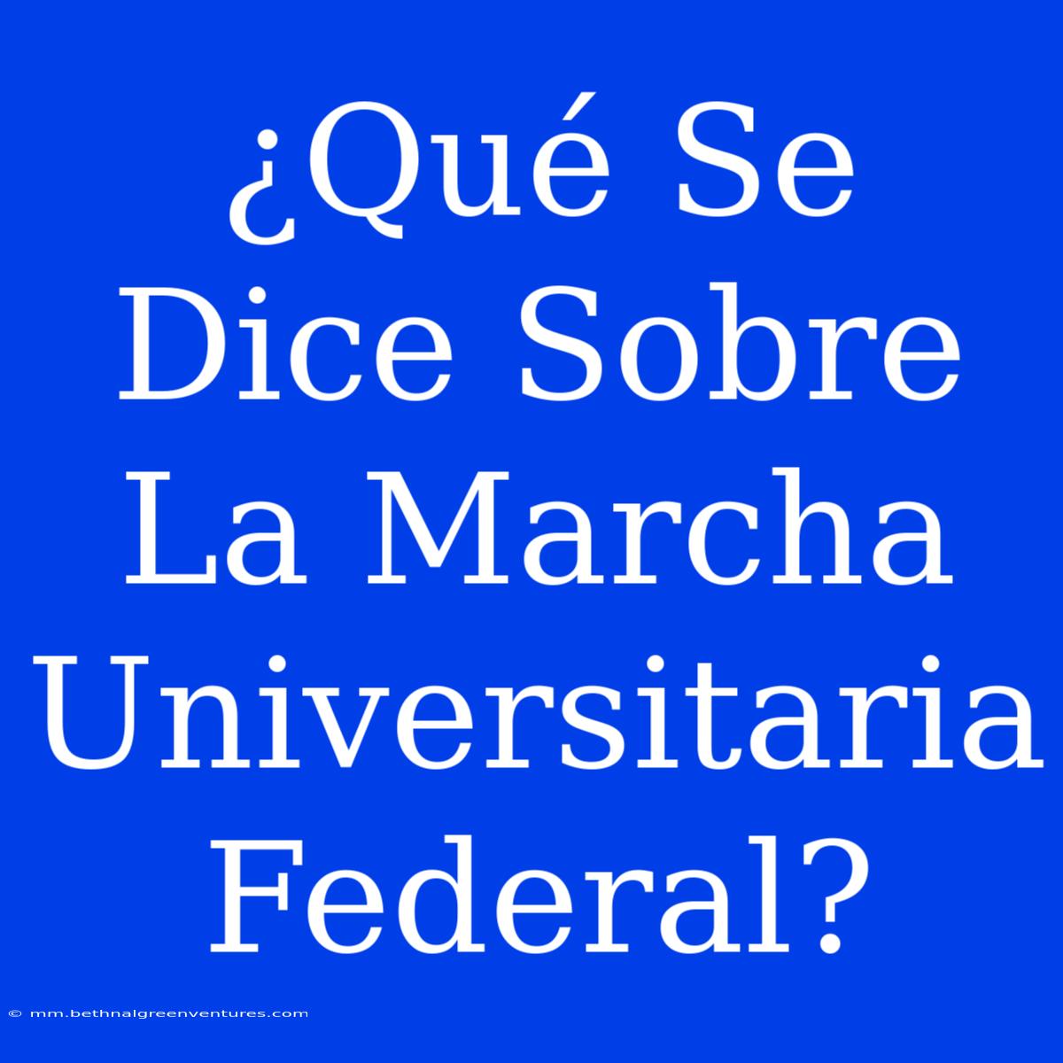 ¿Qué Se Dice Sobre La Marcha Universitaria Federal?