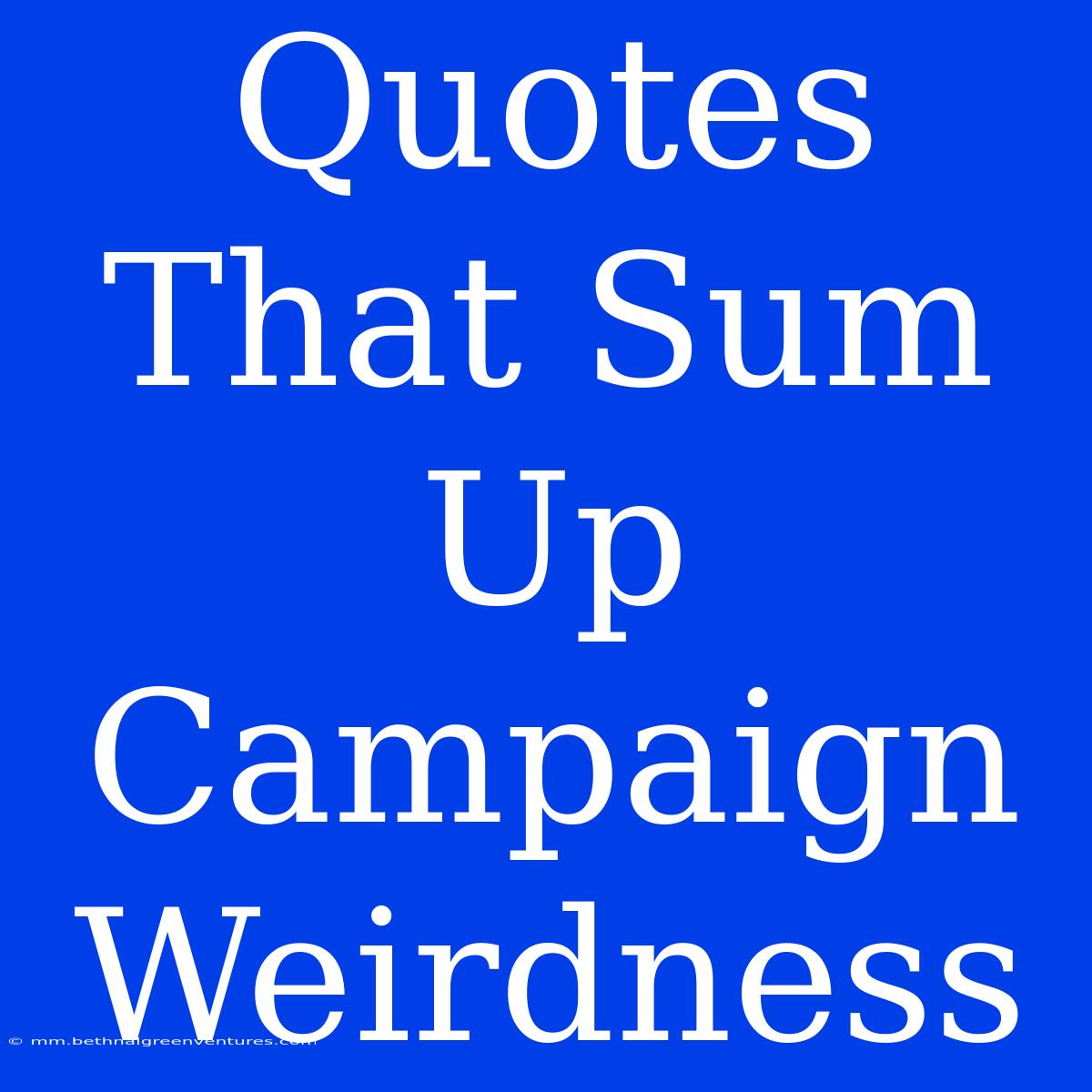 Quotes That Sum Up Campaign Weirdness 