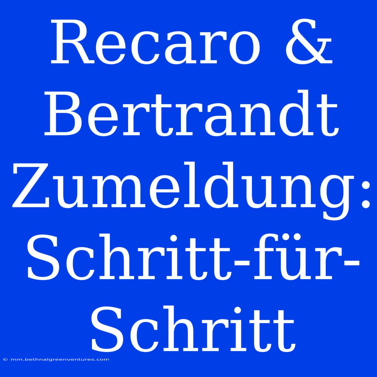 Recaro & Bertrandt Zumeldung: Schritt-für-Schritt