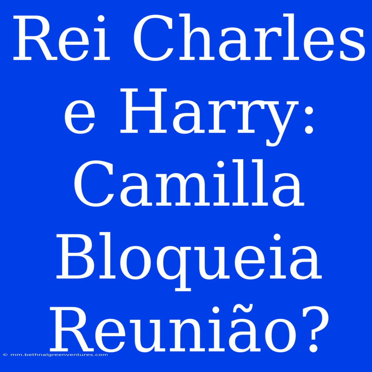 Rei Charles E Harry: Camilla Bloqueia Reunião?