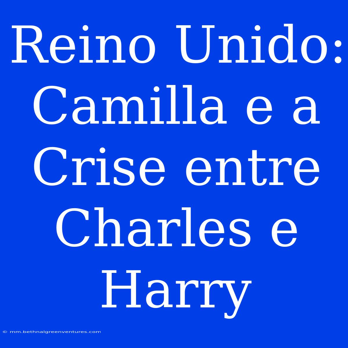 Reino Unido: Camilla E A Crise Entre Charles E Harry