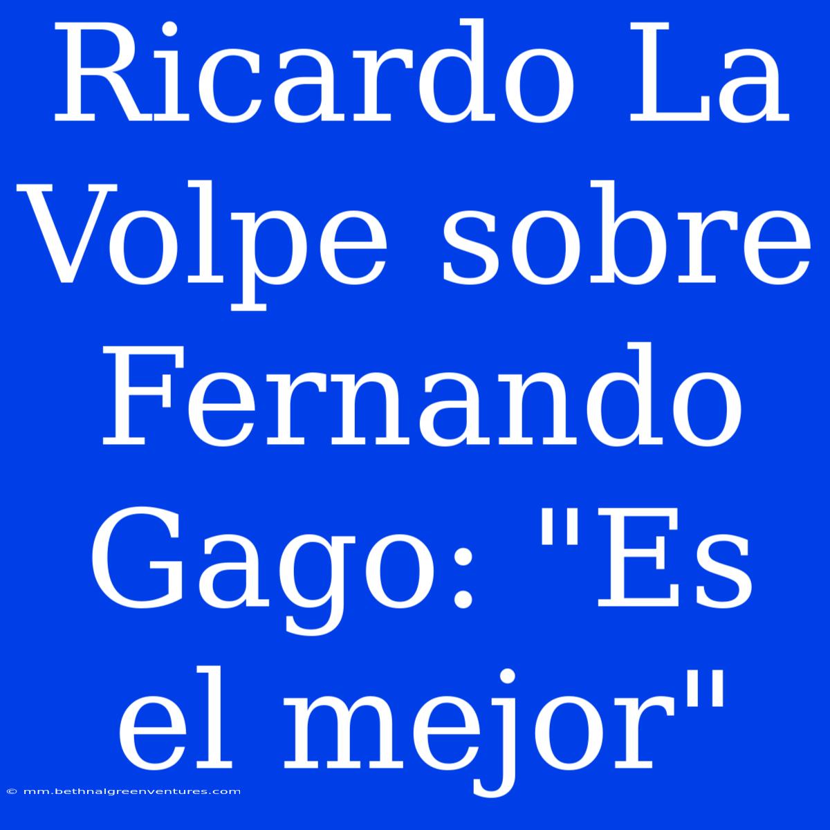 Ricardo La Volpe Sobre Fernando Gago: 