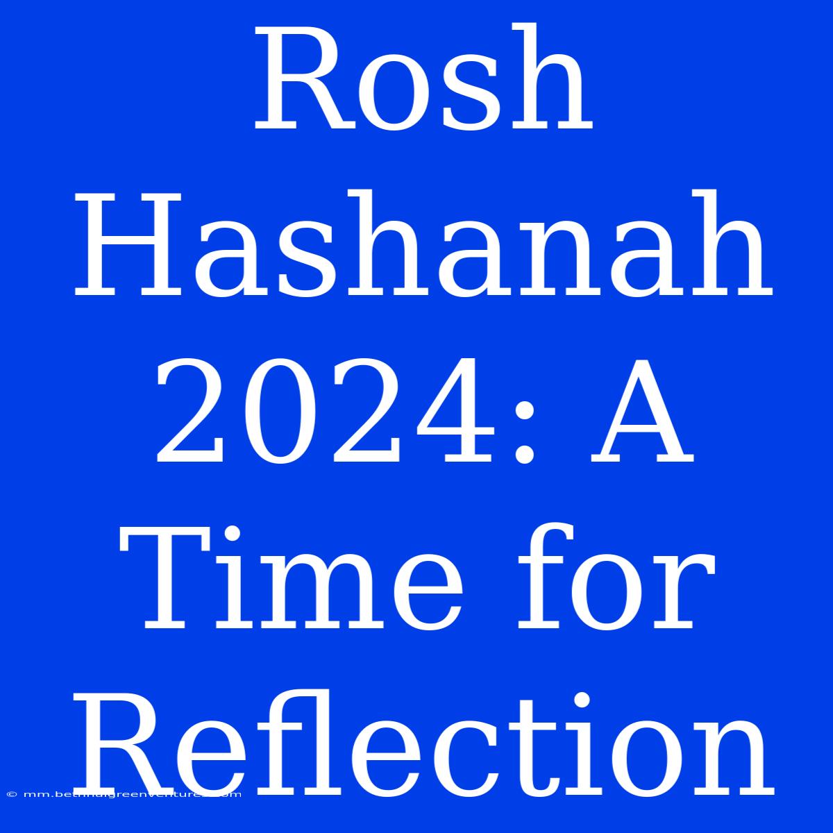 Rosh Hashanah 2024: A Time For Reflection 