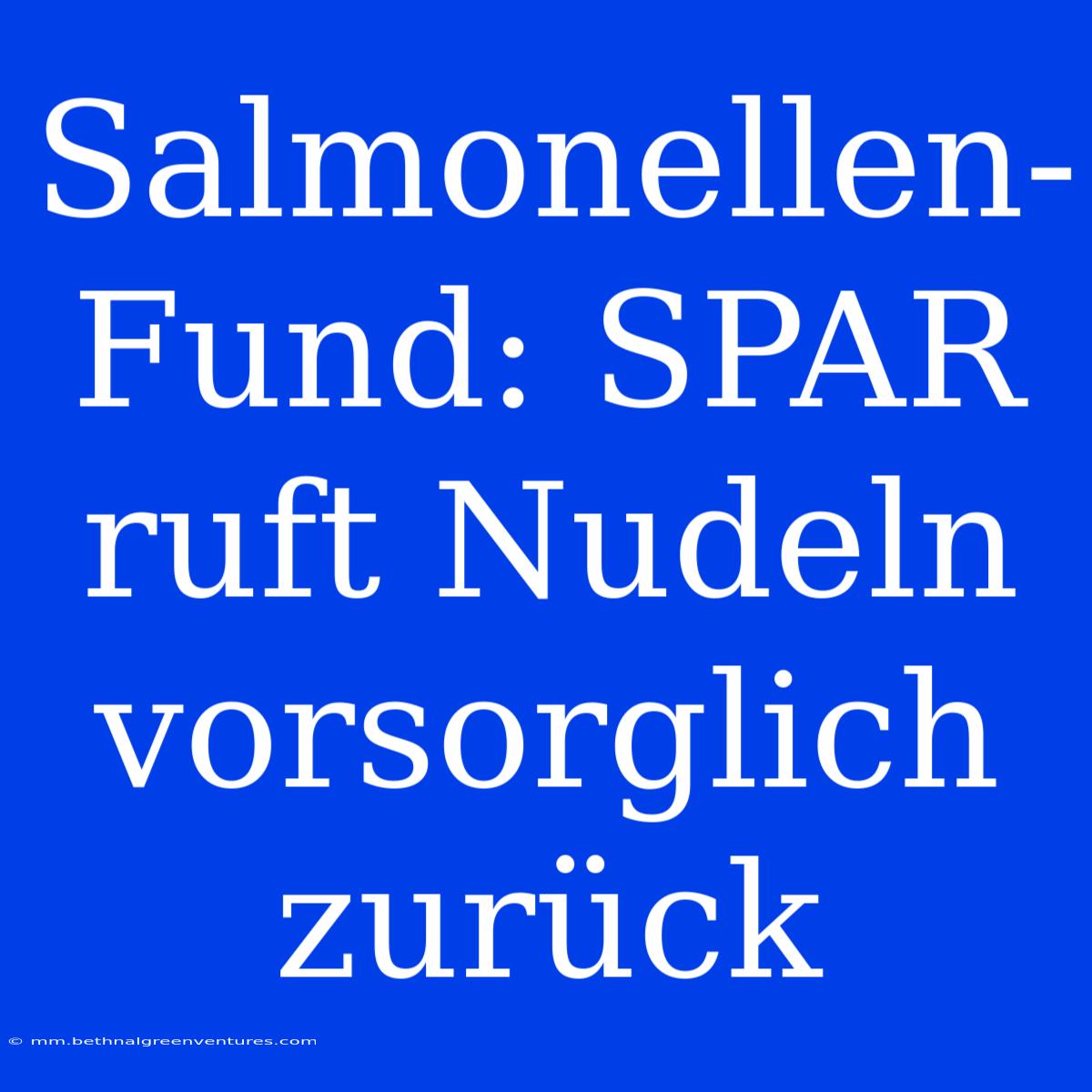 Salmonellen-Fund: SPAR Ruft Nudeln Vorsorglich Zurück 