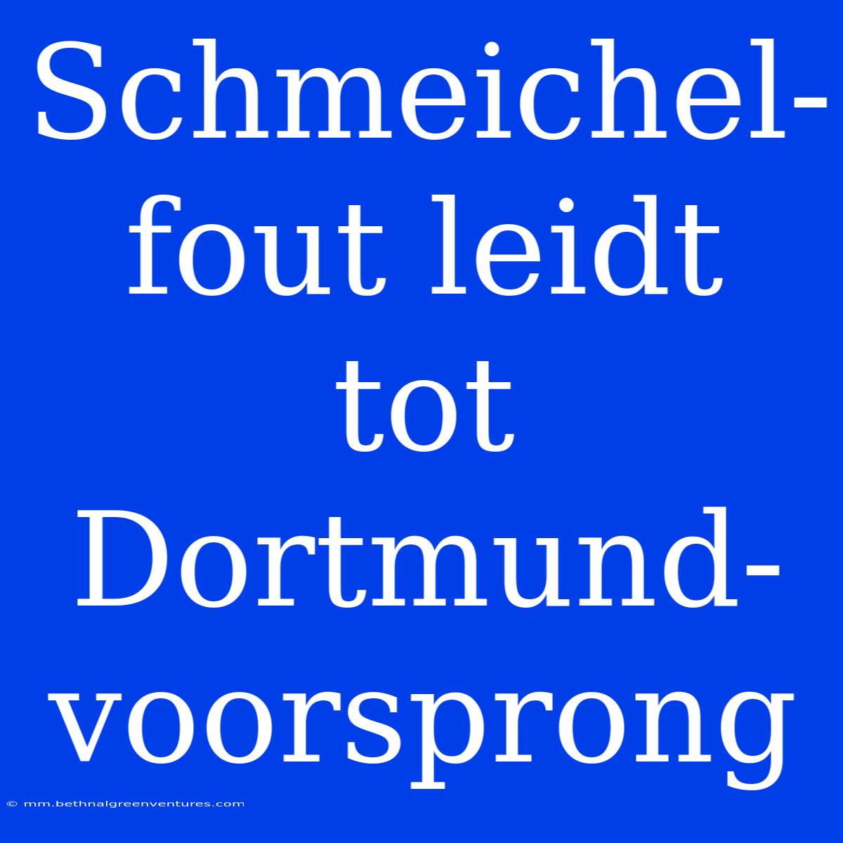 Schmeichel-fout Leidt Tot Dortmund-voorsprong