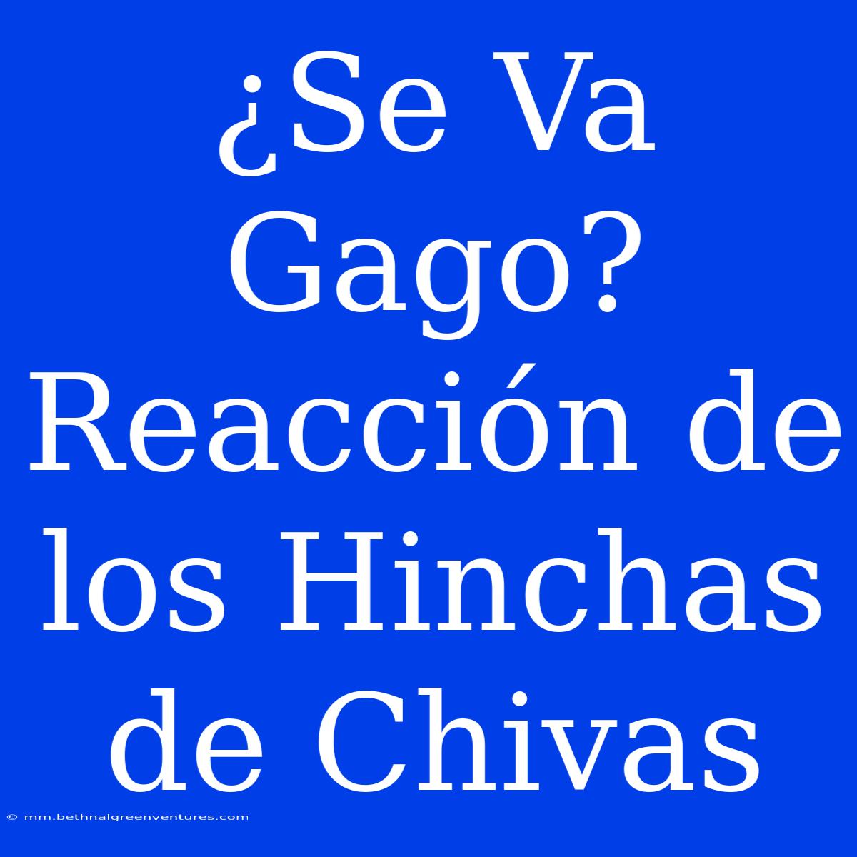 ¿Se Va Gago? Reacción De Los Hinchas De Chivas